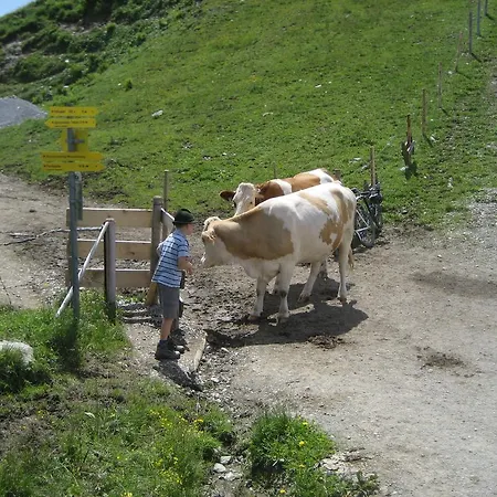 Apartamento Lindner Hannes *